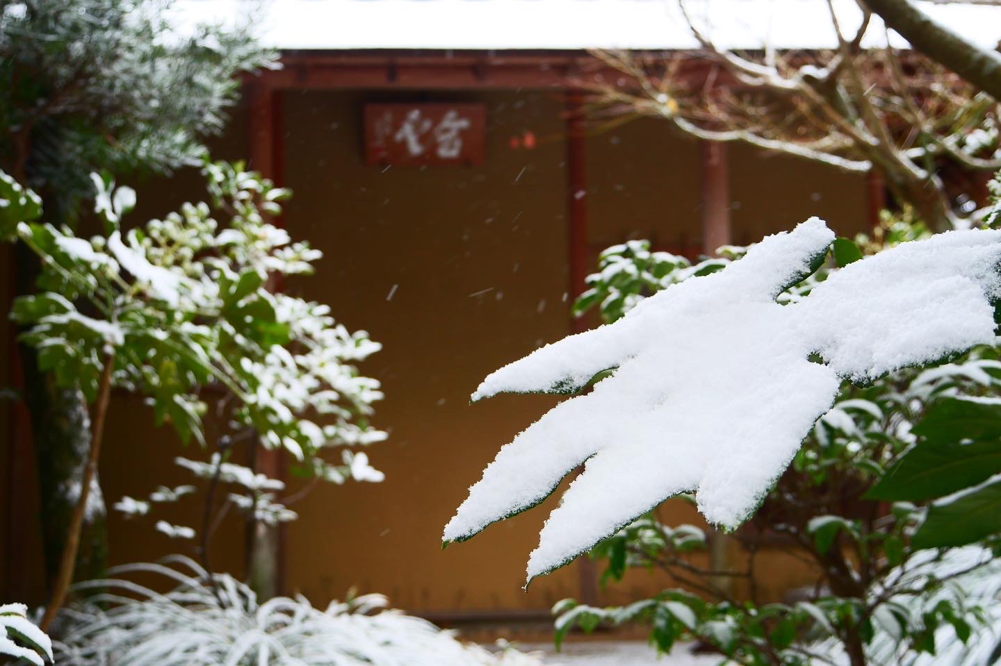 E13673A9-0D92-418E-AC66-BE45AEB00767